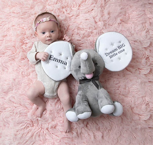 Personalized stuffed animals