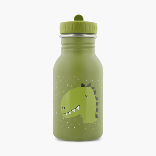 Kids water bottle dinosaur