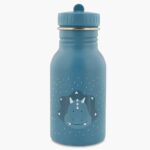 Kids water bottle dinosaur, Mr. Triceratops