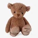Get well soon teddy bear Nobody's perfect from Bukowski