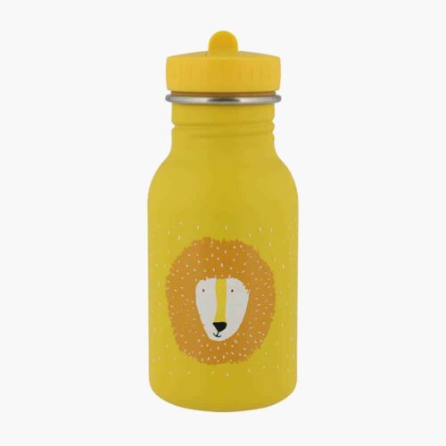 Kids water bottle lion, Mr. Lion