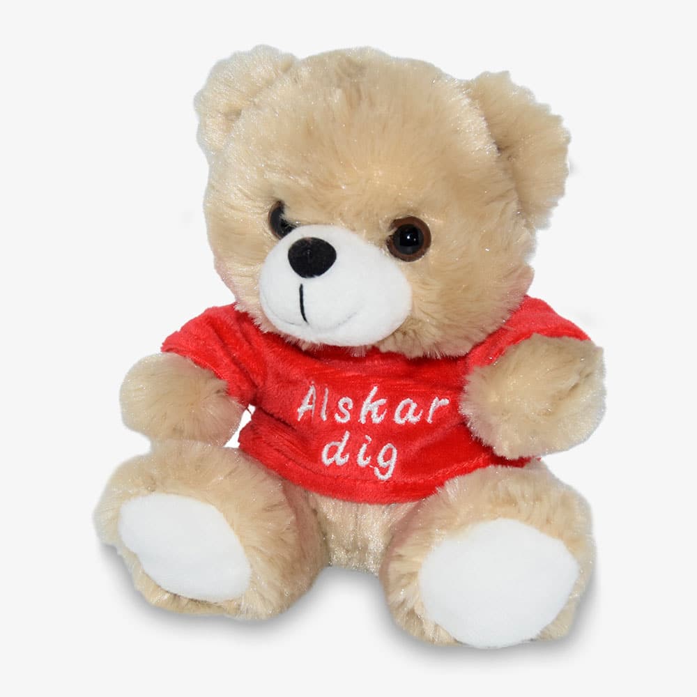 Teddy Bear I Love You Teddy bear with I love you t-shirt